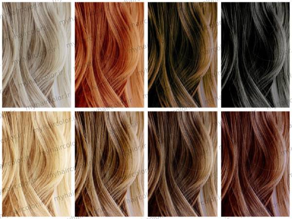 رنگ مو پادینا n7