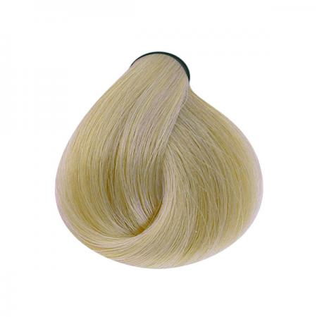 عرضه کننده لورینت ارکیده وحشی به بازار