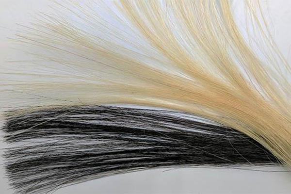 خرید جدید ترین رنگ موی ایرانی