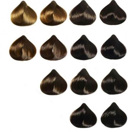 خرید کاتالوگ رنگ مو بیجورکا با قیمت ارزان